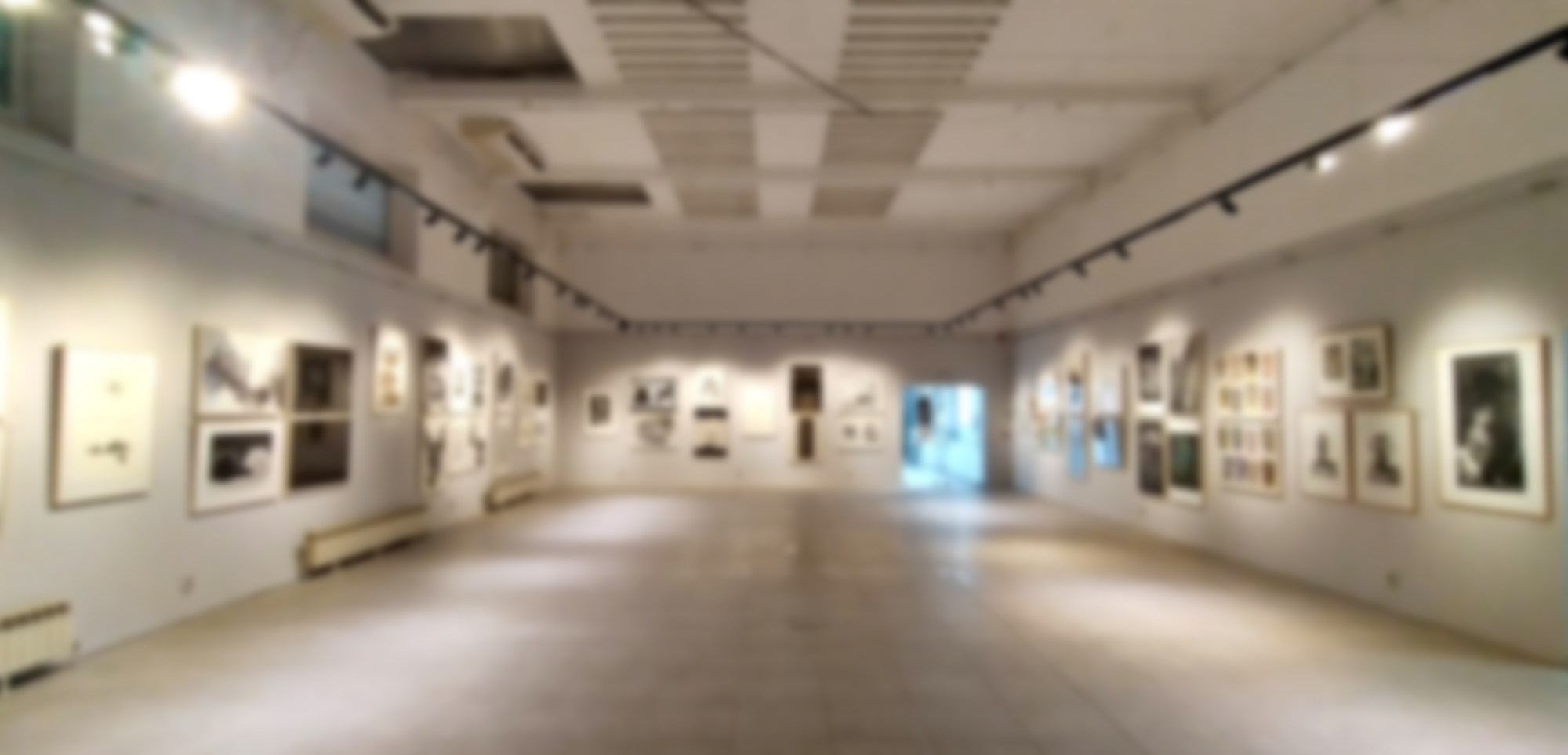 sofia_academy_gallery_2